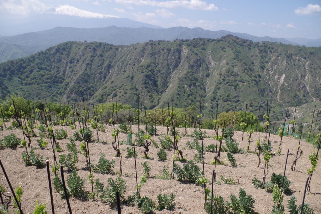 taormina terrazzamenti per vigne