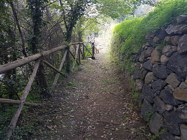 gurne dell'alcantara percorso a piedi foto taobook