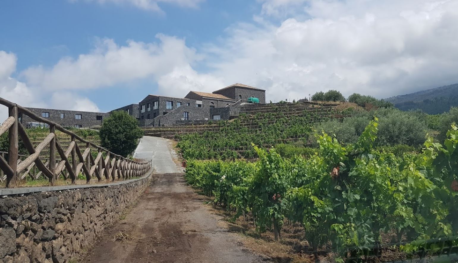 costanzo vini etna doc