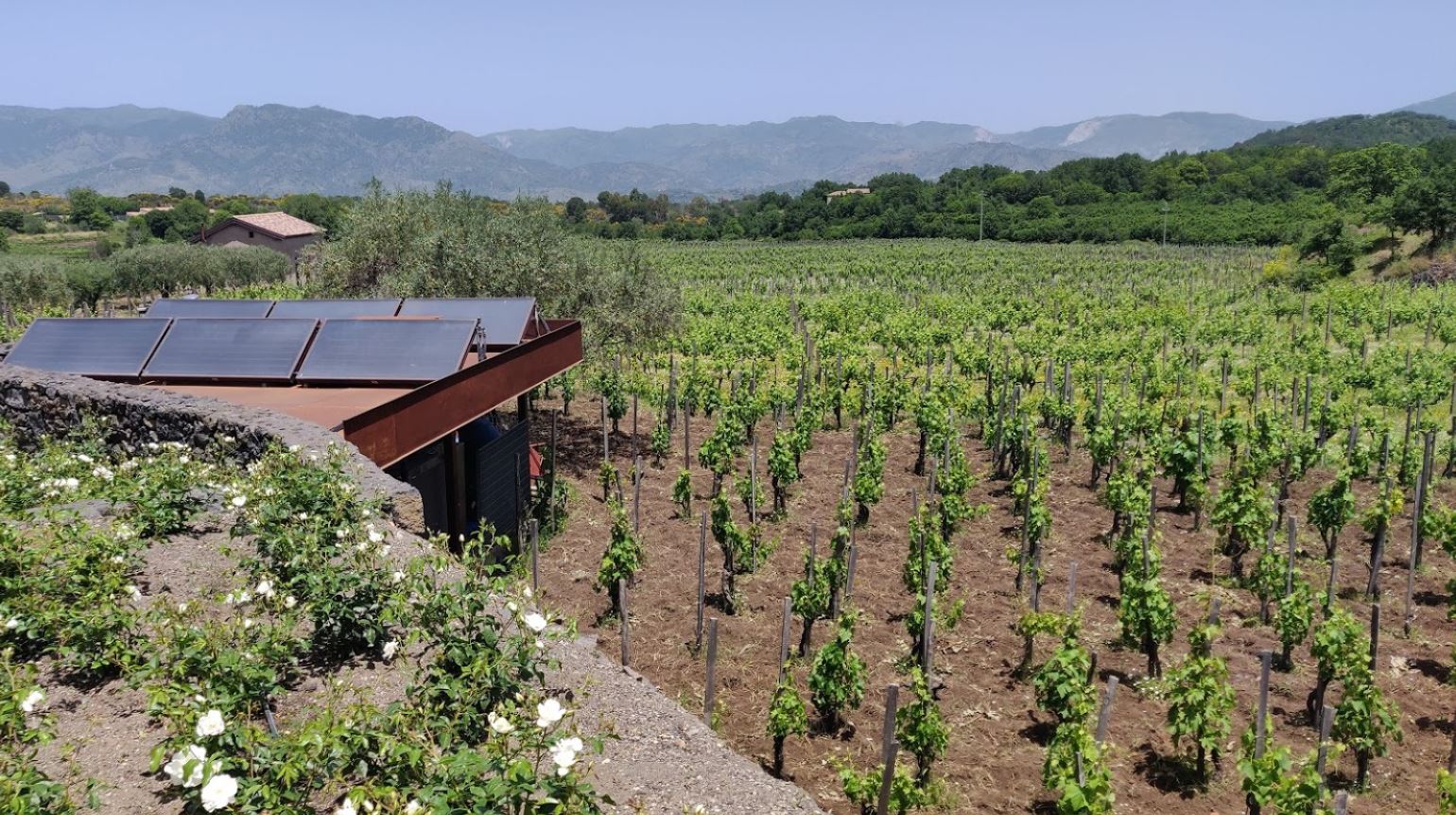 tenute di fessina cantine vino etna doc