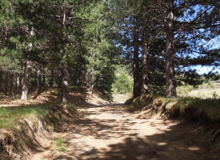 percorso parco dell'etna