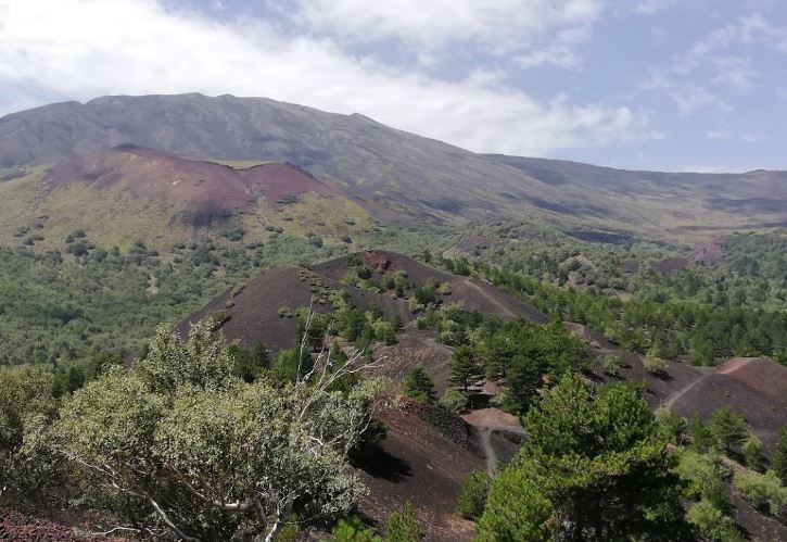 etna monti sartorius