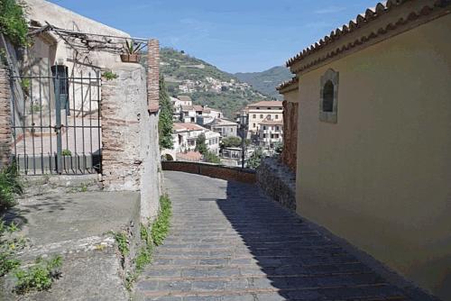 savoca 11042015 0012