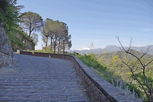 savoca 11042015 004